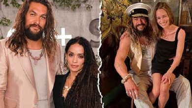 Is the controversial actress the one to blame for the divorce of Jason Momoa and Lisa Bonet?