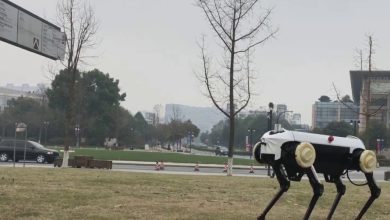 (Video) China has produced a giant four-legged military robot