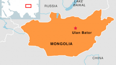 A strong earthquake with a magnitude of 5.6 on the border between Mongolia and China