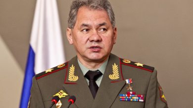 Shoigu called his British counterpart to Moscow