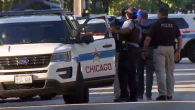 The Chicago shooting suspect wanted for the shooting at the Chicago-area parade has been arrested, police