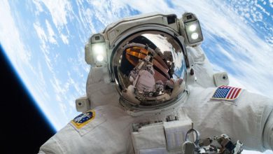 New research shows that astronauts do as much bone damage in 6 months in space as they do in 20 years on Earth