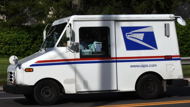 Florida U.S. Postal Service carrier killed by dogs after truck breaks down in Putnam County