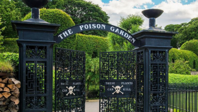 Plants that can kill! See the most dangerous botanical garden in the world