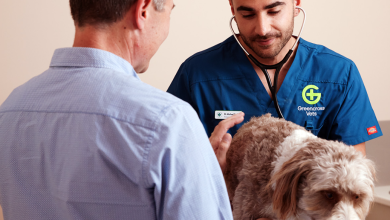 Veterinarians explain several things that every pet owner should do