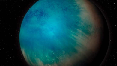 100 light years away from Earth, an exoplanet may be covered in water, researchers say