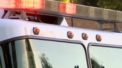Saturday afternoon single-vehicle crash in Orangeburg County fatal for one person, one injured