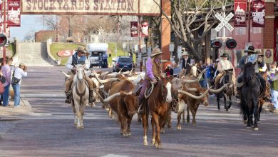 Fort Worth offers lots of attractions to visitors