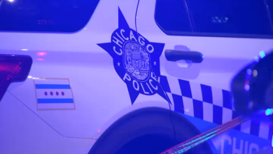 Dozens of people killed and injured over the weekend in Chicago; gun violence out of control