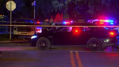 Friday night shooting in Liberty City fatal for elderly woman, police