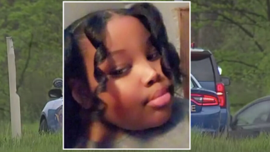 A 14-year-old boy in Michigan has been charged with brutally murdering his 10-year-old stepsister late last month.