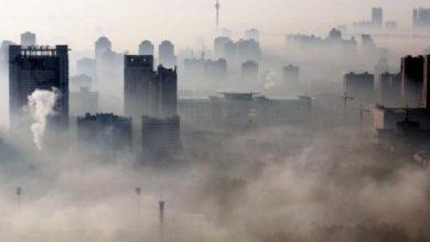 Polluted air is as dangerous for babies as cigarettes; it also has huge impact on pregnant women, recent study shows