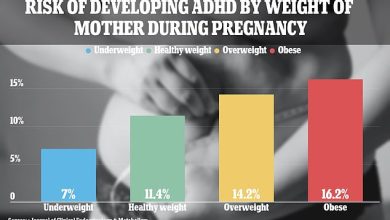 Children have increased risk of suffering from ADHD if their mothers have been obese while pregnant with them, recent study shows