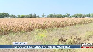 Nebraska farmers seriously concerned due to unseen drought statewide