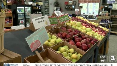 Since 1993, a Council Bluffs family has been producing organic apples; now, Ditmars Orchard and Vineyard is famous among locals