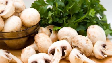 US researchers claim that adding mushrooms in your diet boost metabolism, study