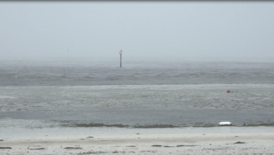Negative Storm Surge Caused by Hurricane Ian in Tampa Bay, Florida