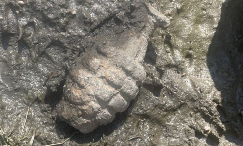 Two Lincoln juveniles discovered a hand grenade while walking down a riverbank northwest of Seward on Sunday afternoon
