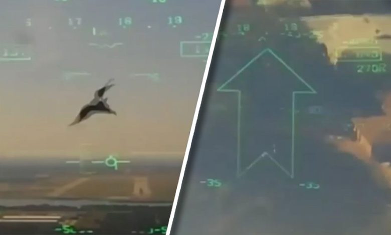 New video of Lake Worth last year’s military plane crash shows the moment the training jet hit birds before crashing