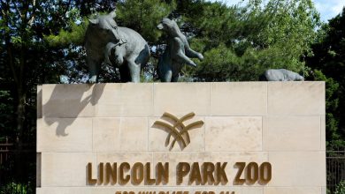 Fall Fest returns this weekend at Lincoln Park Zoo
