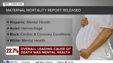 Most of the pregnancy-related deaths can be avoided if treated on time, recent data shows