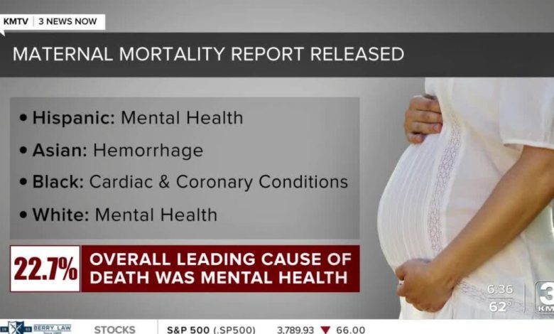 Most of the pregnancy-related deaths can be avoided if treated on time, recent data shows