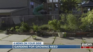 Latino Center of the Midlands is helping local residents to improve the gardens in their backyards