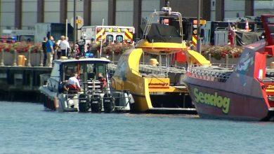 Minor boy is still in critical condition after falling into Lake Michigan near Navy Pier Monday