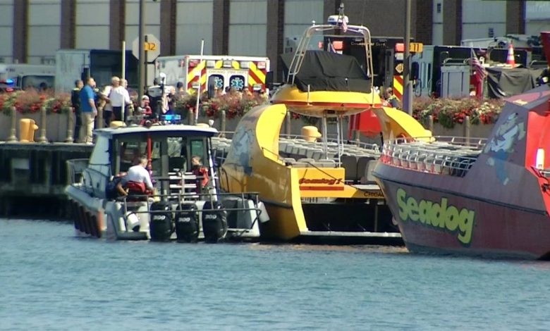 Minor boy is still in critical condition after falling into Lake Michigan near Navy Pier Monday