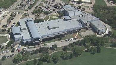 Nimitz High School students started fighting in the lunch line, officers who tried to separate the students are accused of using force