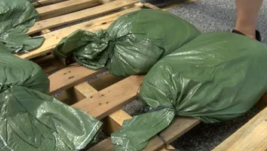 Sandbags provided for residents in three Charleston County municipalities