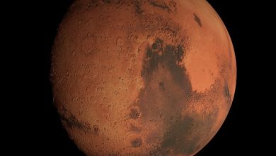 The new space telescope has photographed Mars for the first time