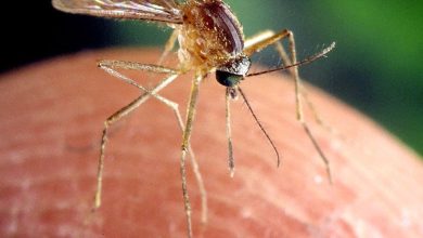 West Nile Virus was found in a second mosquito pool in the area