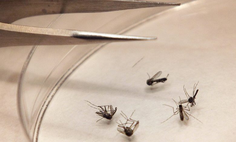 The first human case of West Nile Virus was confirmed by the Three Rivers Public Health Department on Thursday