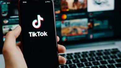 TikTok removed 113 million videos in last three months