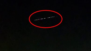 Dallas residents thought that an UFO appeared in the North Texas sky, but it was the Starlink’s satellites