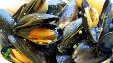 Shell-fish and seafood benefits, according to expert