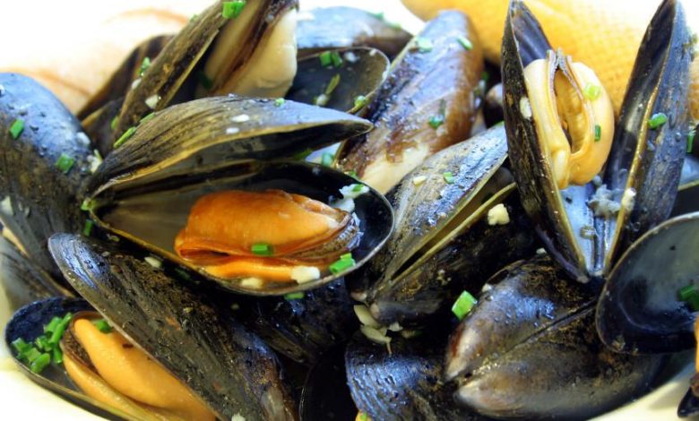 Shell-fish and seafood benefits, according to expert
