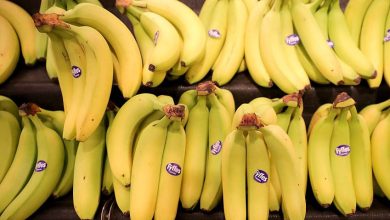 Nutritionists say that eating a banana for breakfast is not the best way to start your day