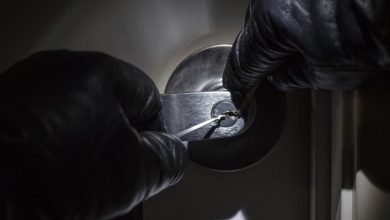 Repeated thefts jeopardize the future of long-established landscaping businesses in Gretna