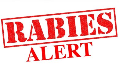 Health officials issue warnings following cat incident; CDC and USDA team up to counter rabies threat in Douglas County